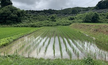 圃場訪問  〜出会った生き物たち〜