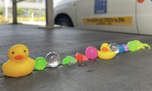 ちょっと涼しげで可愛い仲間たち…🐣