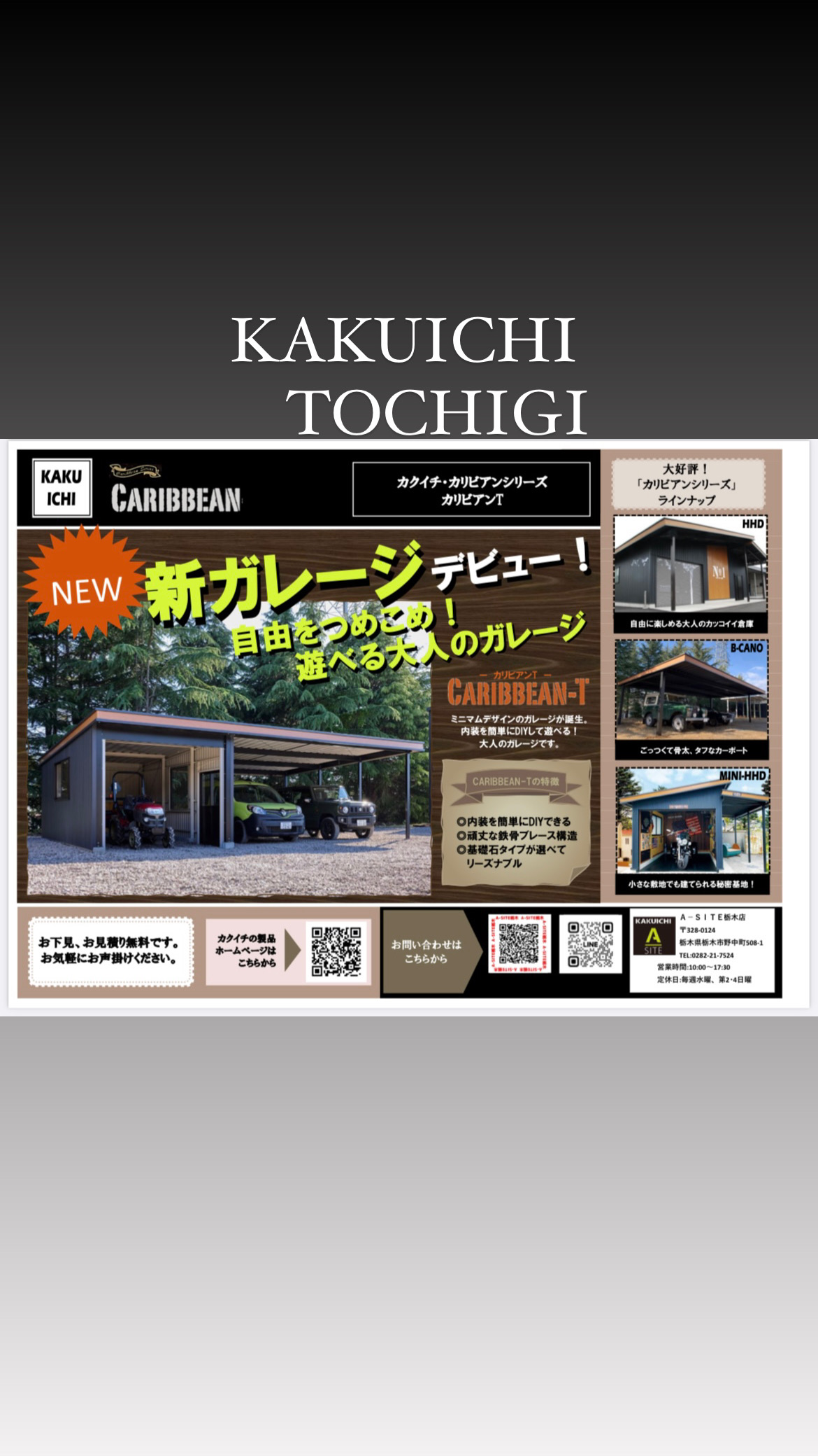 ✨🆕新商品✨カリビアンTのご案内✨