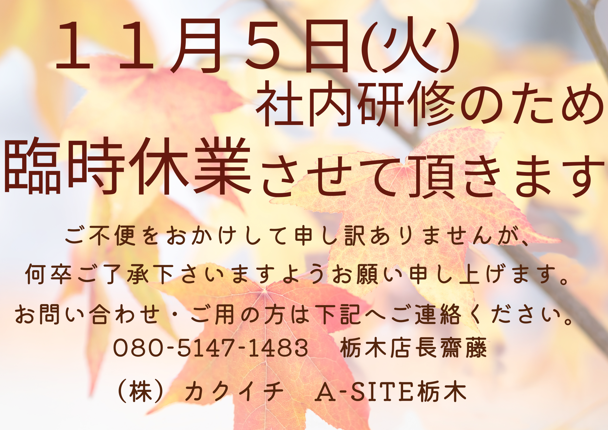 👻１１月５日(火)社内研修のため臨時休業させて頂きます🎃