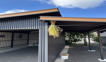 稲刈りしました🌾🌾🌾